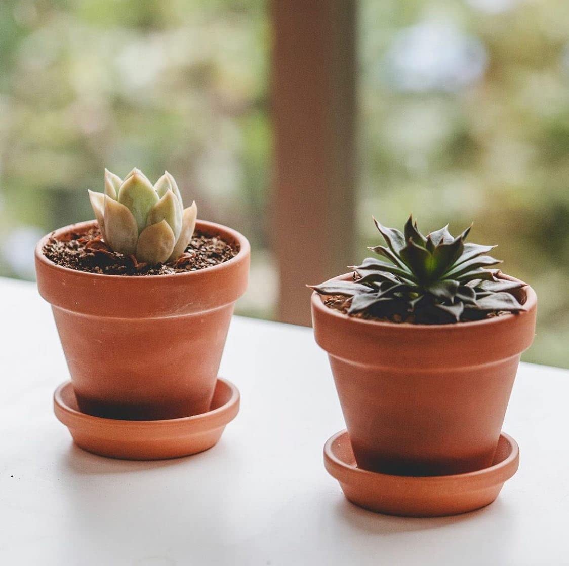 HERDUK terracotta pot and saucer set ideal for seedling care and watering control