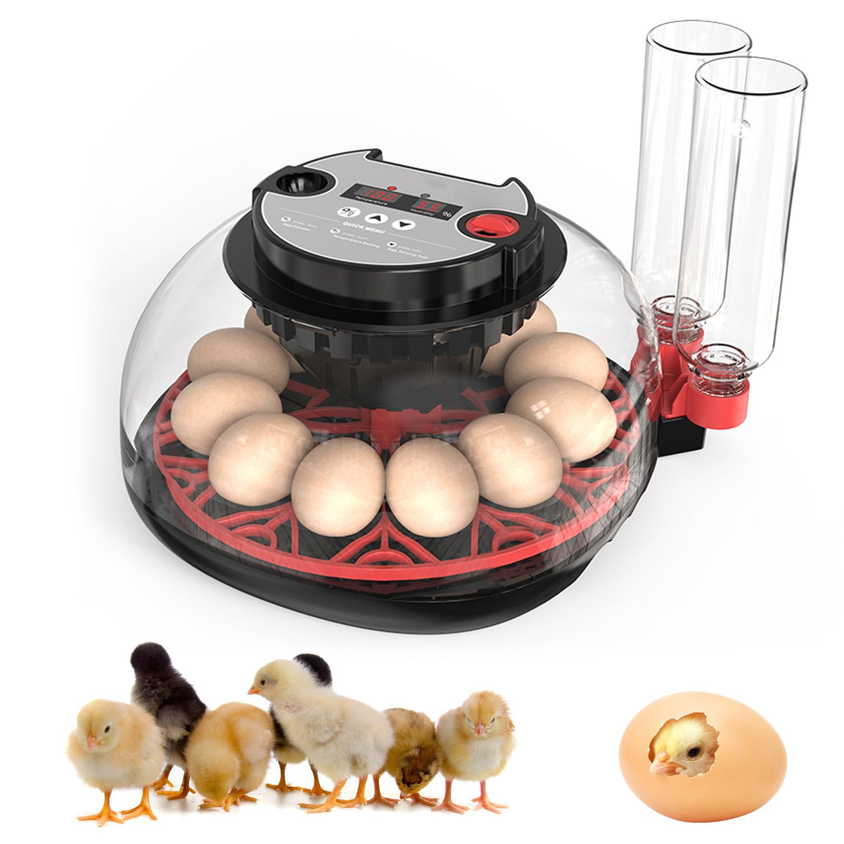 HERTMUN incubator 360-degree view for easy monitoring of hatch progress.