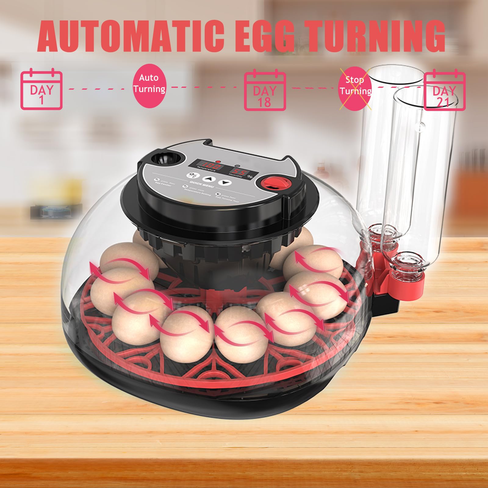 HERTMUN incubator candling light helps check embryo progress without disturbance.