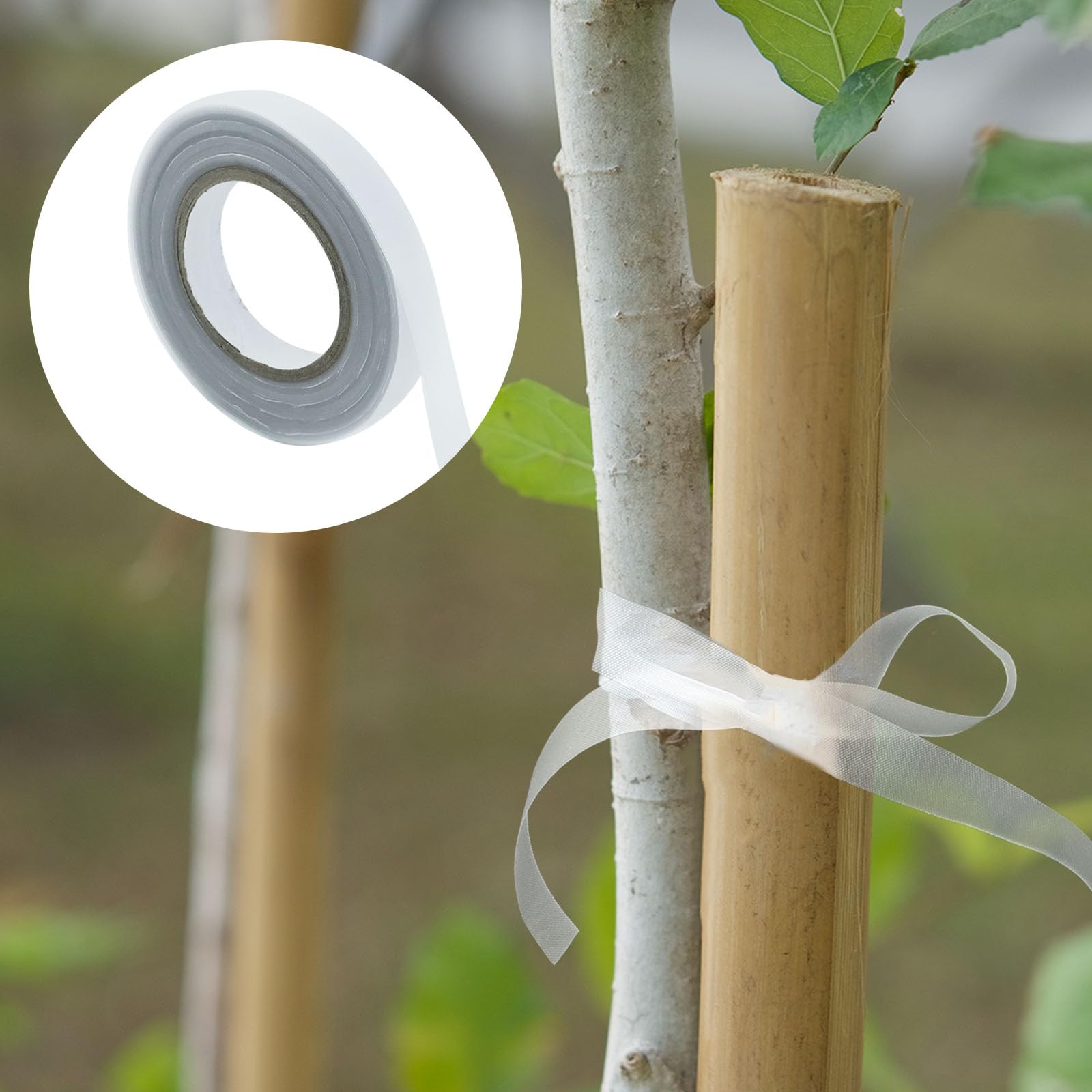 HEVSTIL vine-support tape white roll keeps climbing plants orderly indoors.