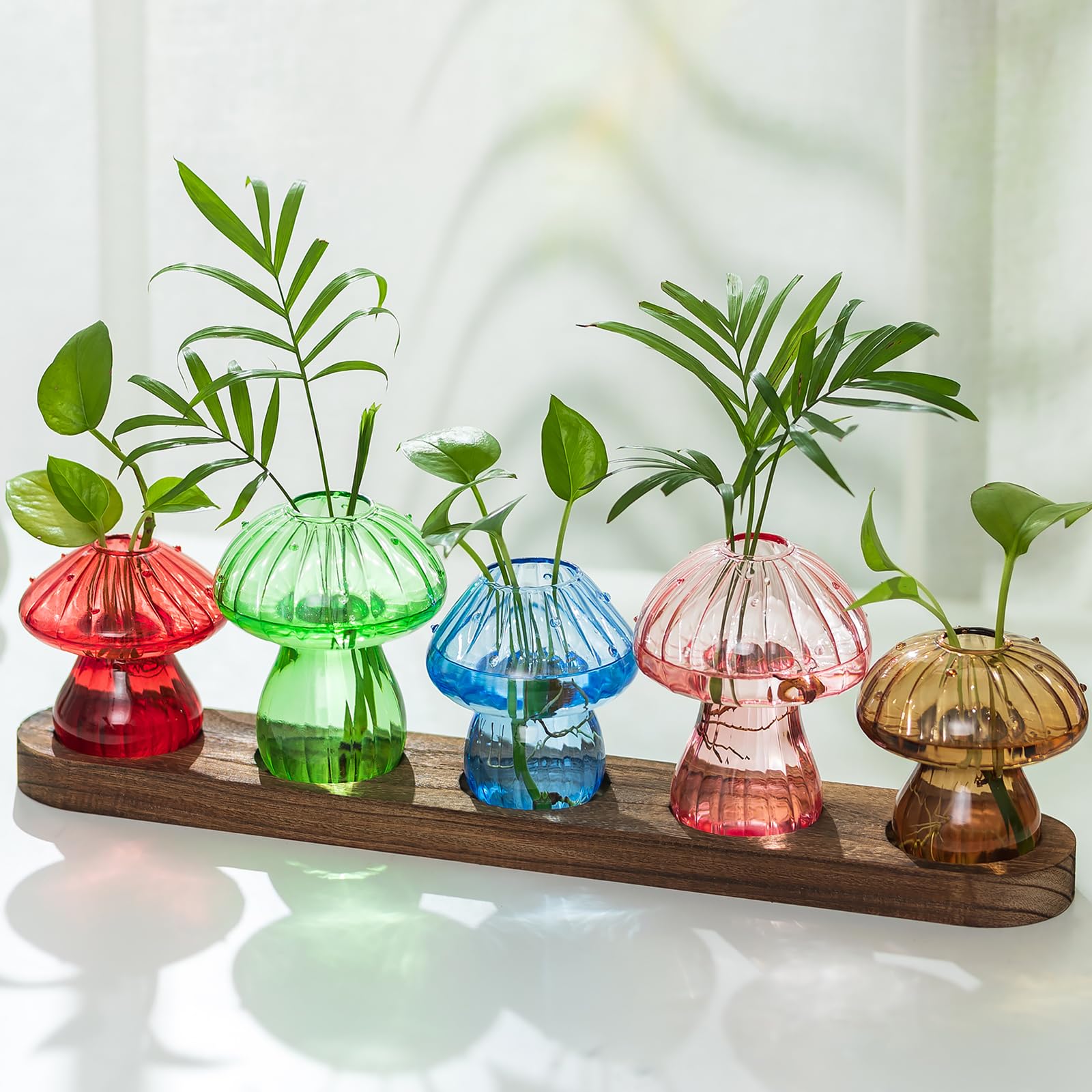 Hewory glass mushroom propagation vase on a wooden tray for root observation