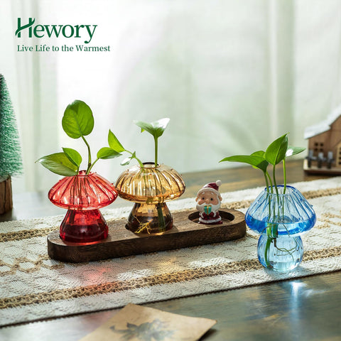 Hewory glass mushroom propagation vase close-up shows clear glass and natural stand.