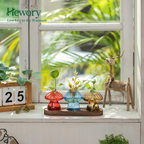 Hewory mushroom propagation vase on wooden stand displayed on a desk.
