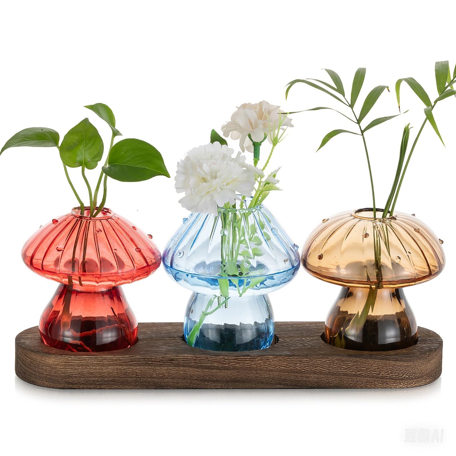 Hewory mushroom propagation vase with wooden tray on sunny window display.
