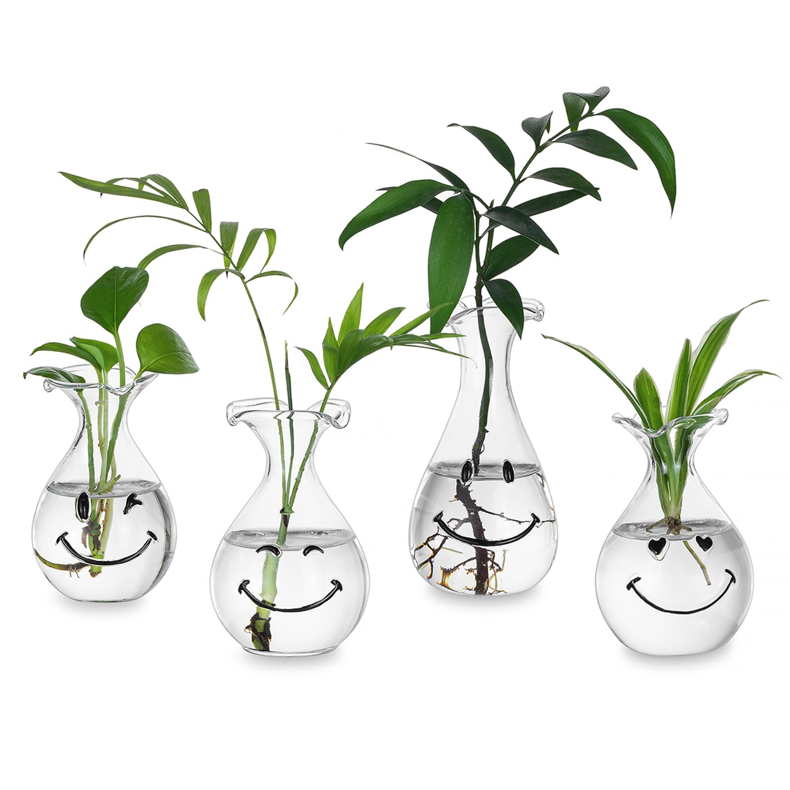 Hewory Smiley Face Glass Planter closeup showing clear glass and cheerful design for plant cuttings