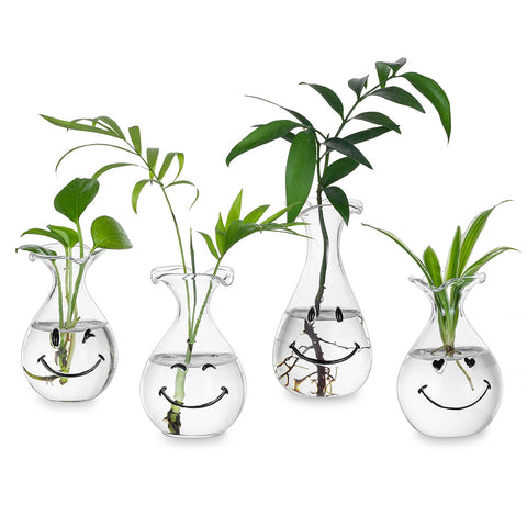 Hewory Smiley Face Glass Planter closeup showing clear glass and cheerful design for plant cuttings