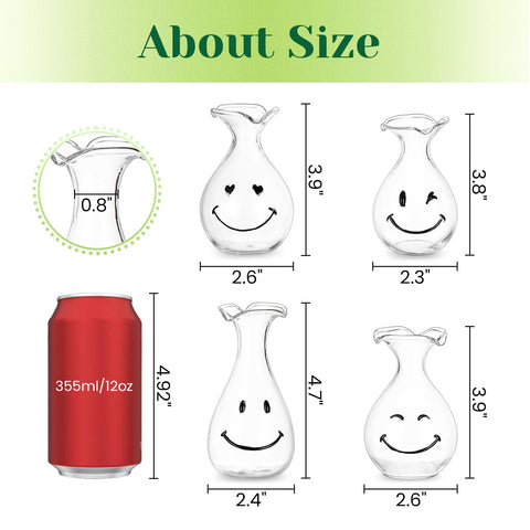 Hewory Smiley Face Glass Planter doubles as bud vase or diffuser in dining decor