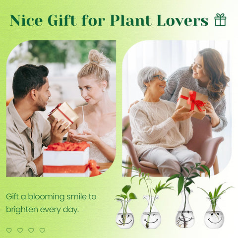 Hewory Smiley Face Planter gift-ready packaging, perfect for plant lovers and kids