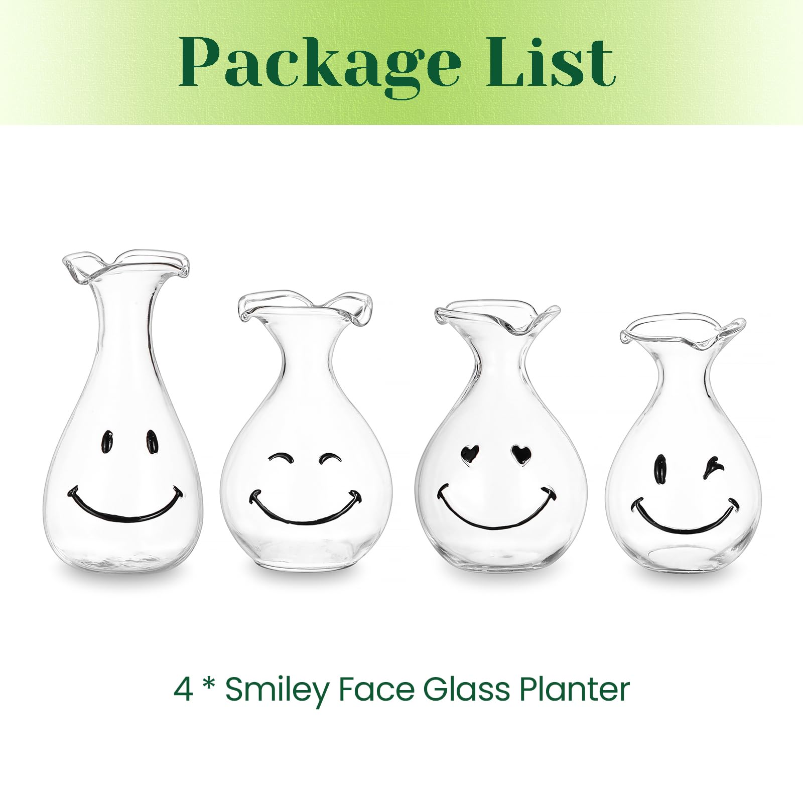 Hewory Smiley Face Glass Planter styled in living room setup for home decor
