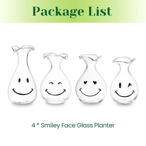 Hewory Smiley Face Glass Planter styled in living room setup for home decor