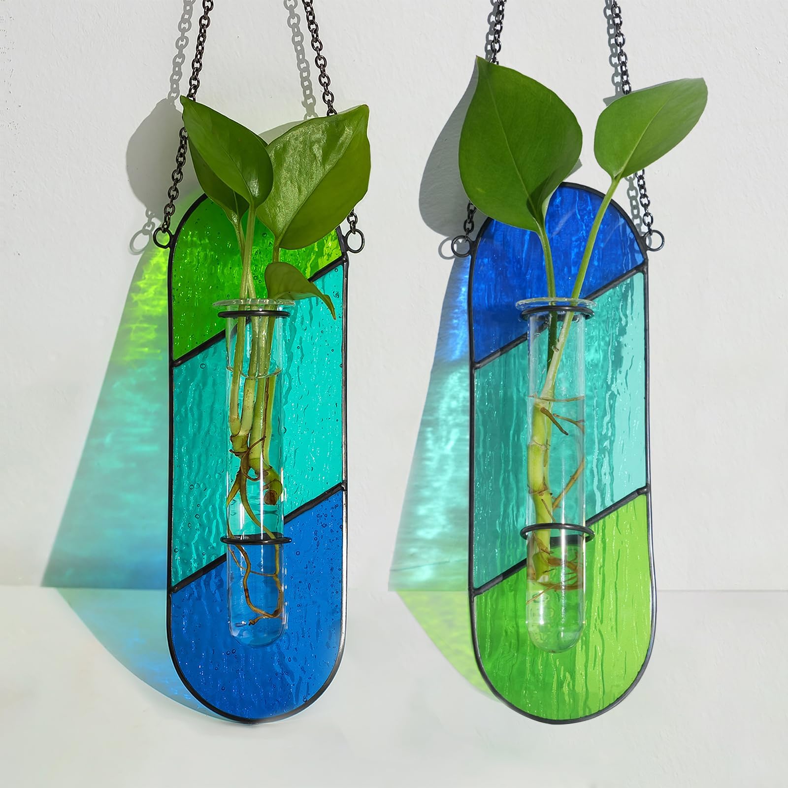 Hewory stained glass propagation station hanging in sunlight to showcase cuttings.