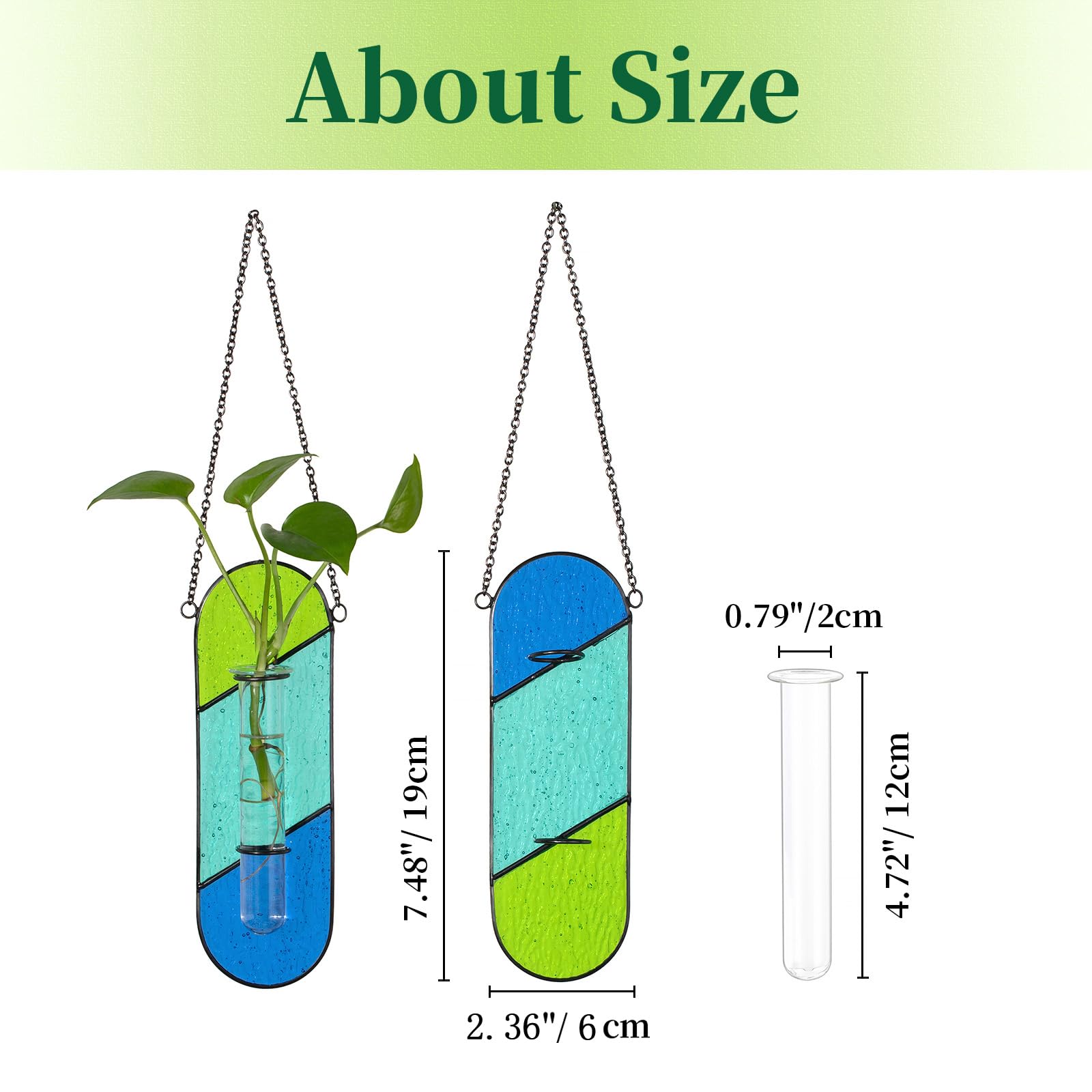 Hewory wall-terrarium style planter brings greenery to bare walls.