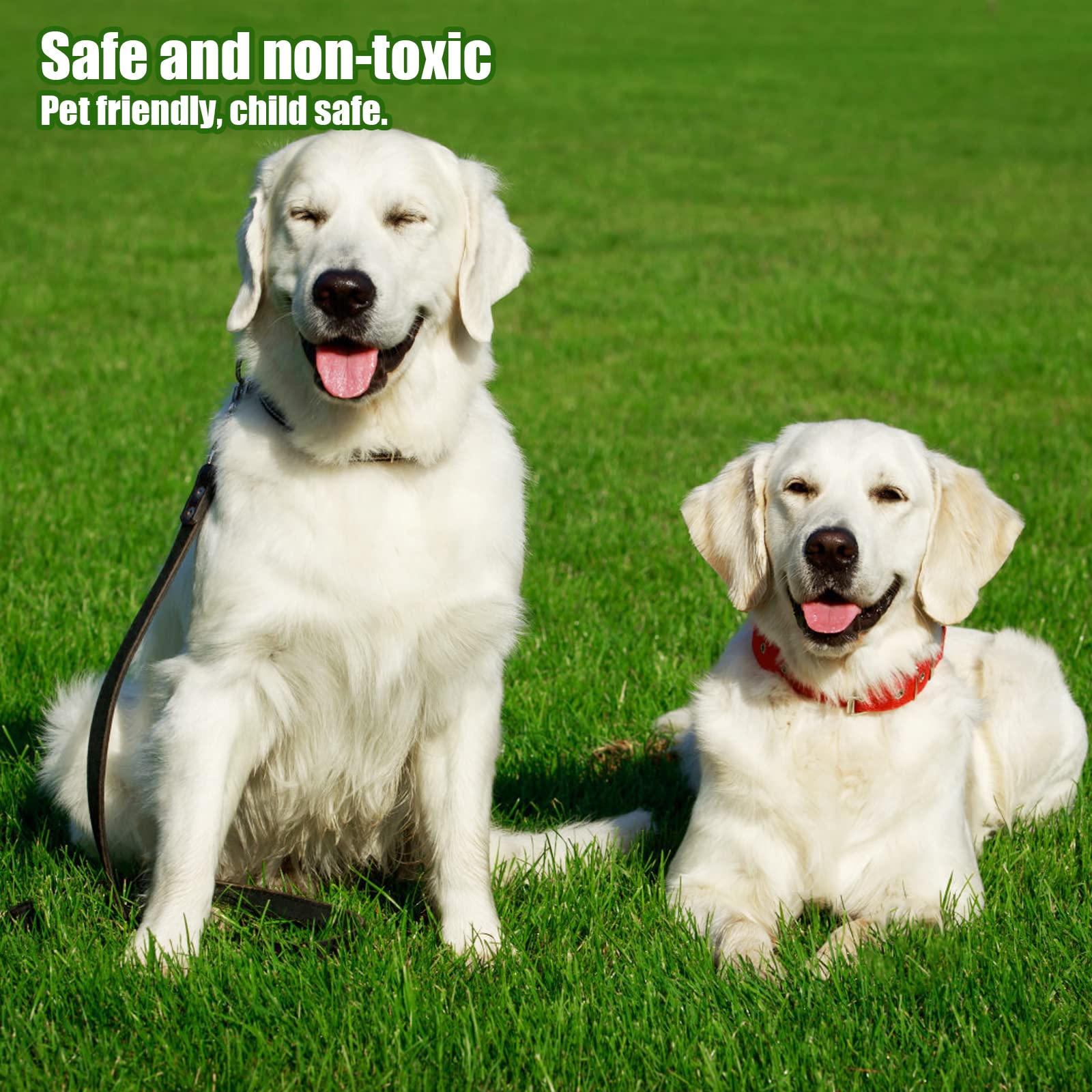 Heyroll fake grass offers low maintenance without mowing, watering, or fertilizing.