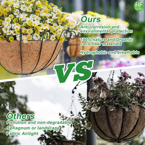HFHOME plant care moisture balance to help indoor greens thrive.