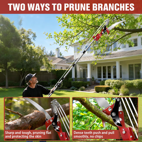 hfshimlux extended reach enables pruning high branches from the ground.