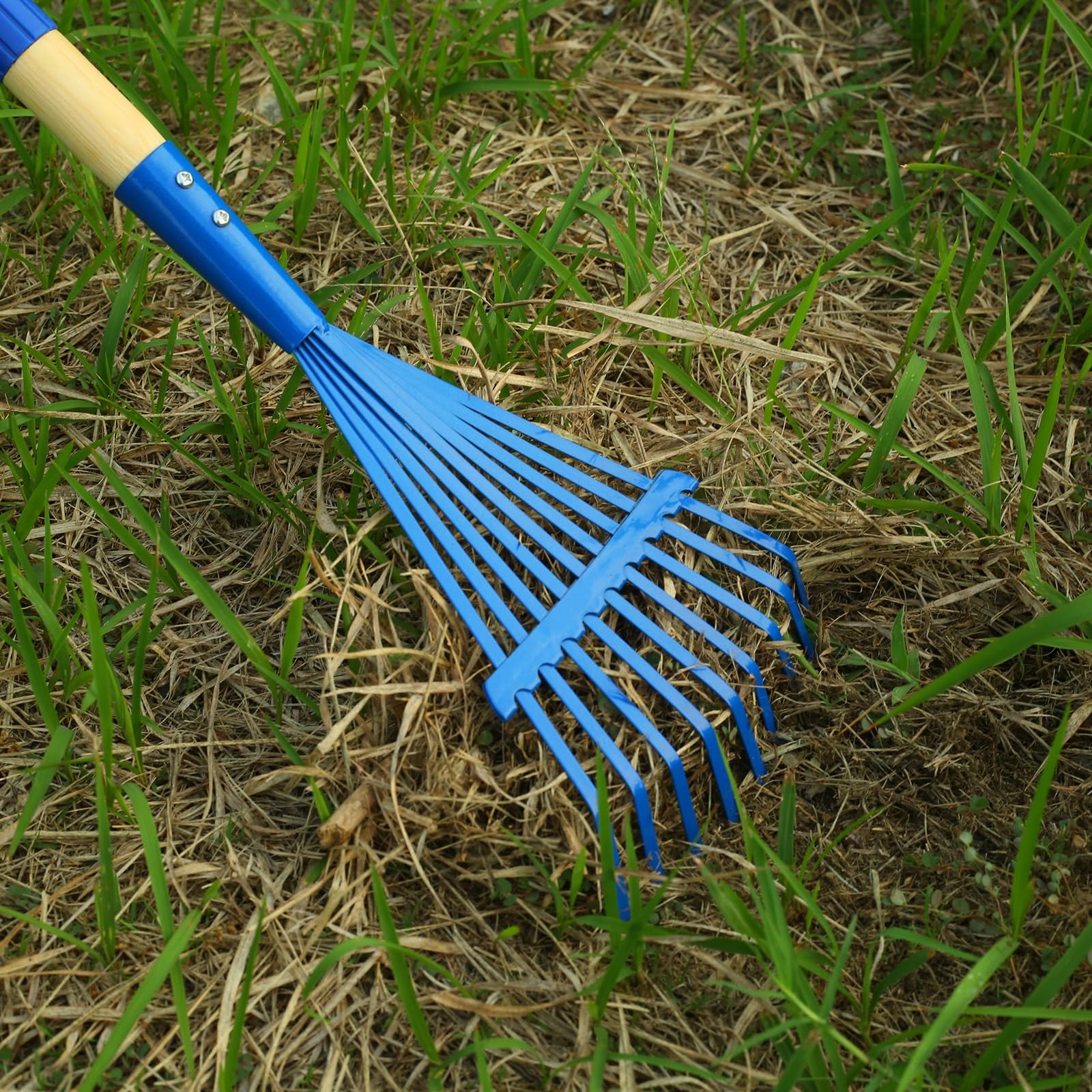 HFXXAD rake in action in the yard makes leaf collection simple