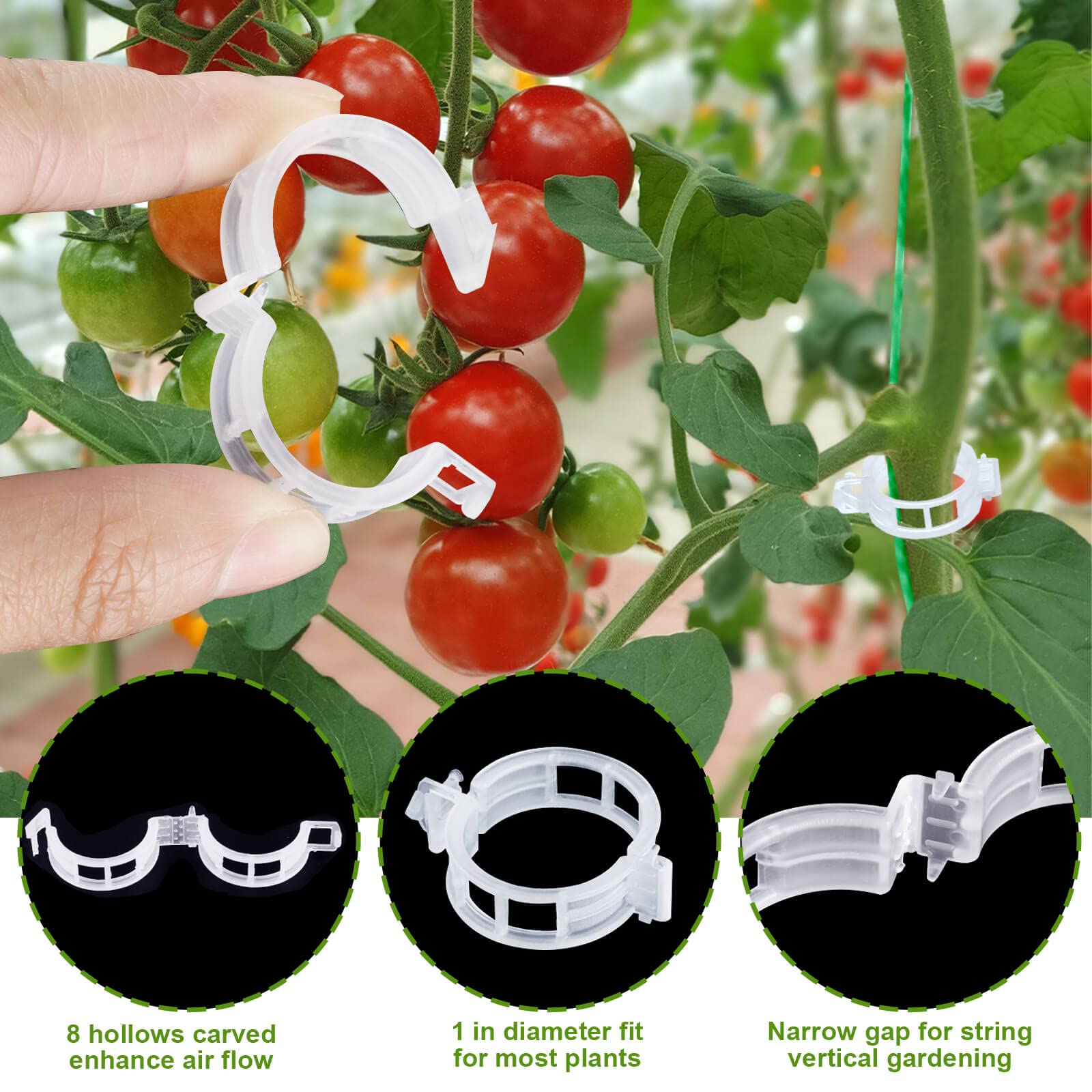 HFXXAD tomato holder hooks organize fruit support during growth