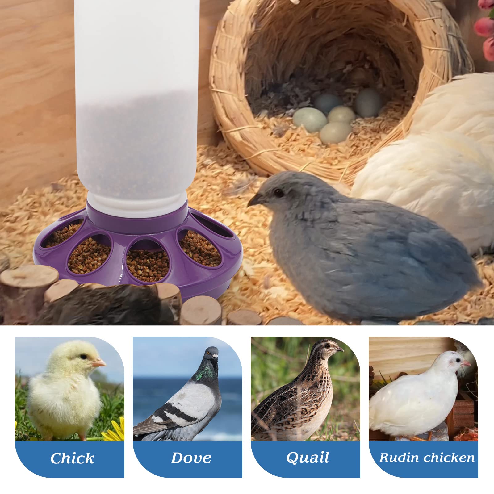 HHNIULI chick waterer lock-base feature for secure use.