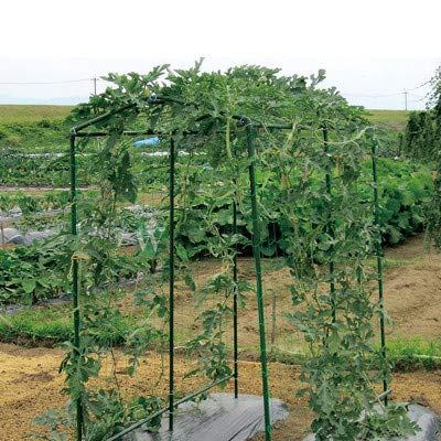 HHTHH cut-to-size trellis netting for custom garden layouts