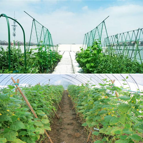 HHTHH easy-cut-to-size netting adapts to pumpkins, beans, and flowering crops.