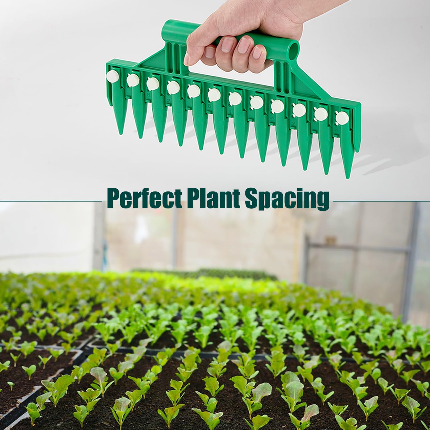 HHTHH seed dibber in use shows quick planting of seeds in rows.