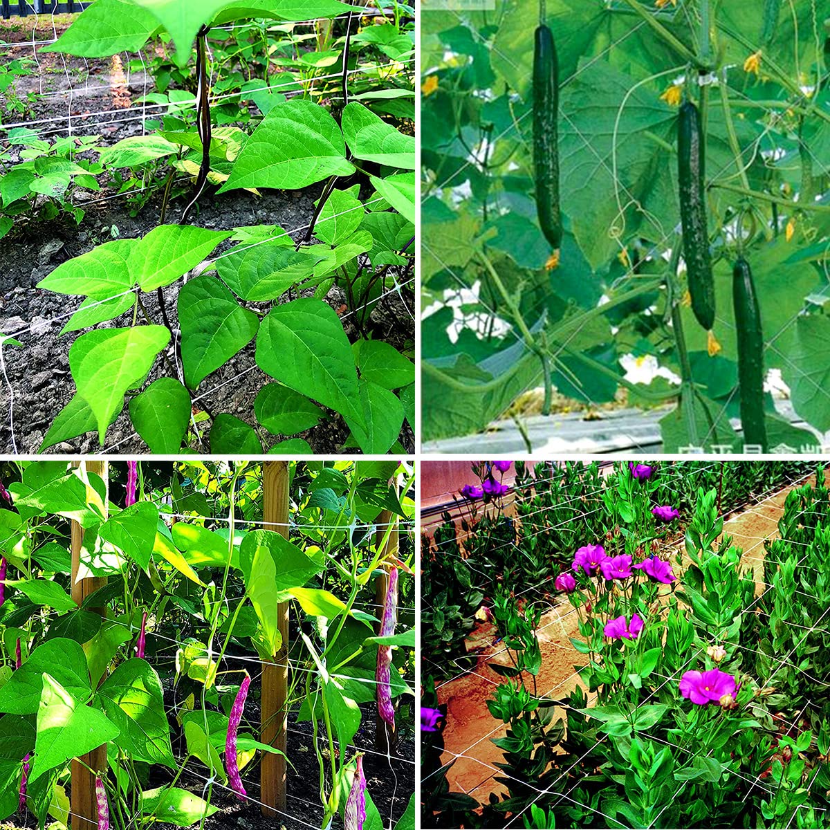 HHTHH load-capacity design helps support heavier vines without sagging