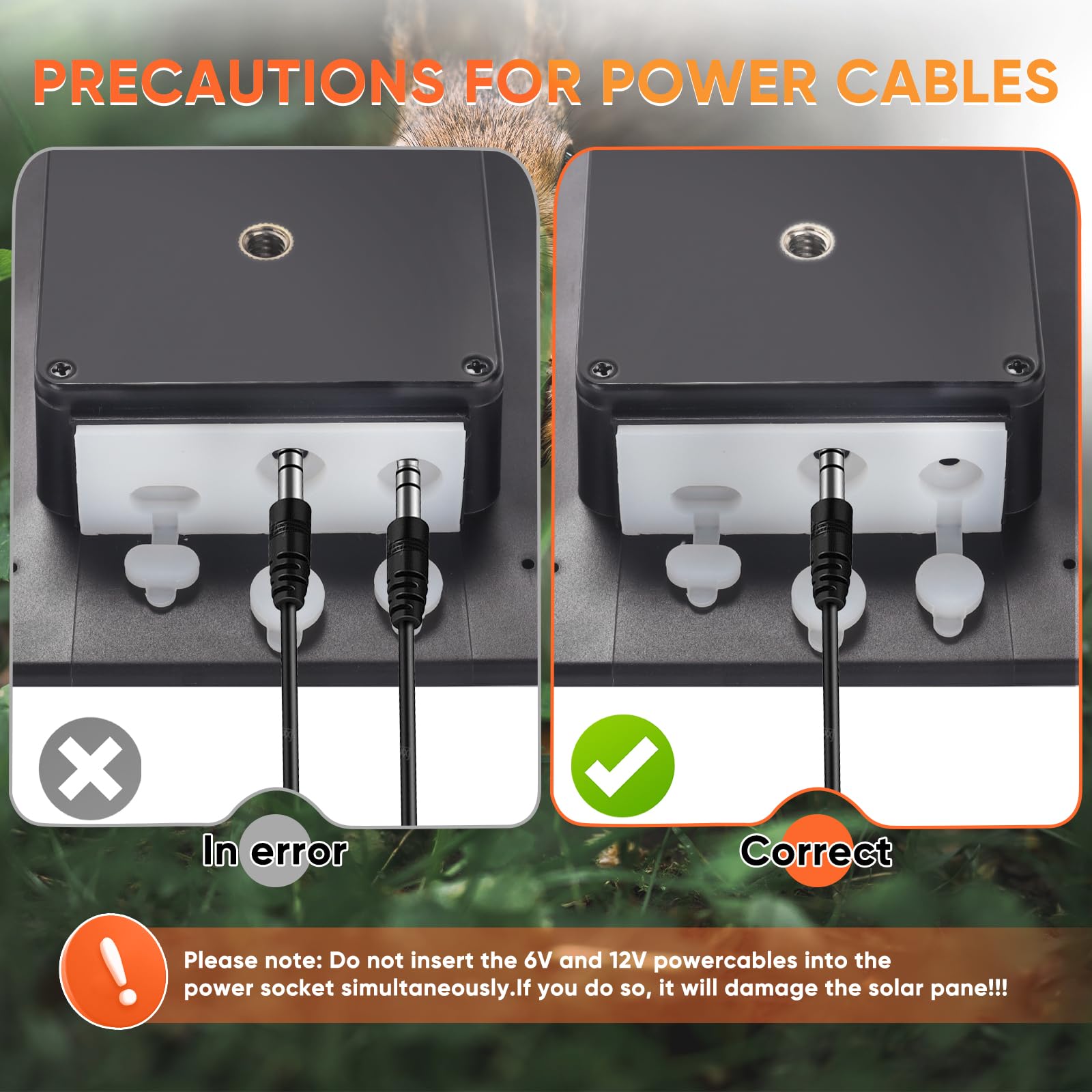 Hhuiyu robust setup supports trail cameras in remote locations.