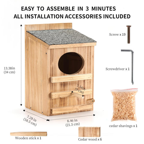 HHWODB Screech Owl House with Bird Stand ready for outdoor viewing.