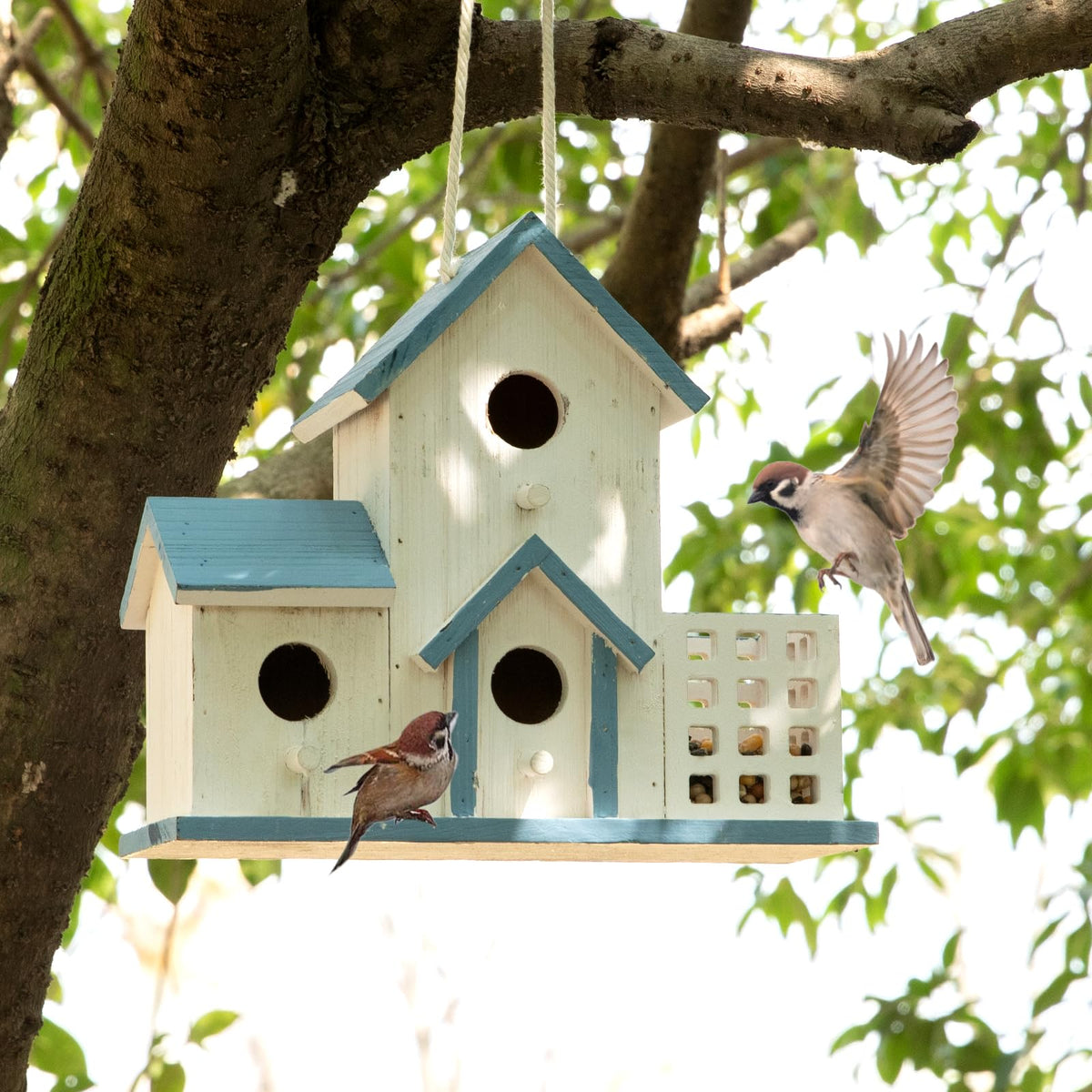 HHWODB bluebird outdoor birdhouse with three-hole entrance.