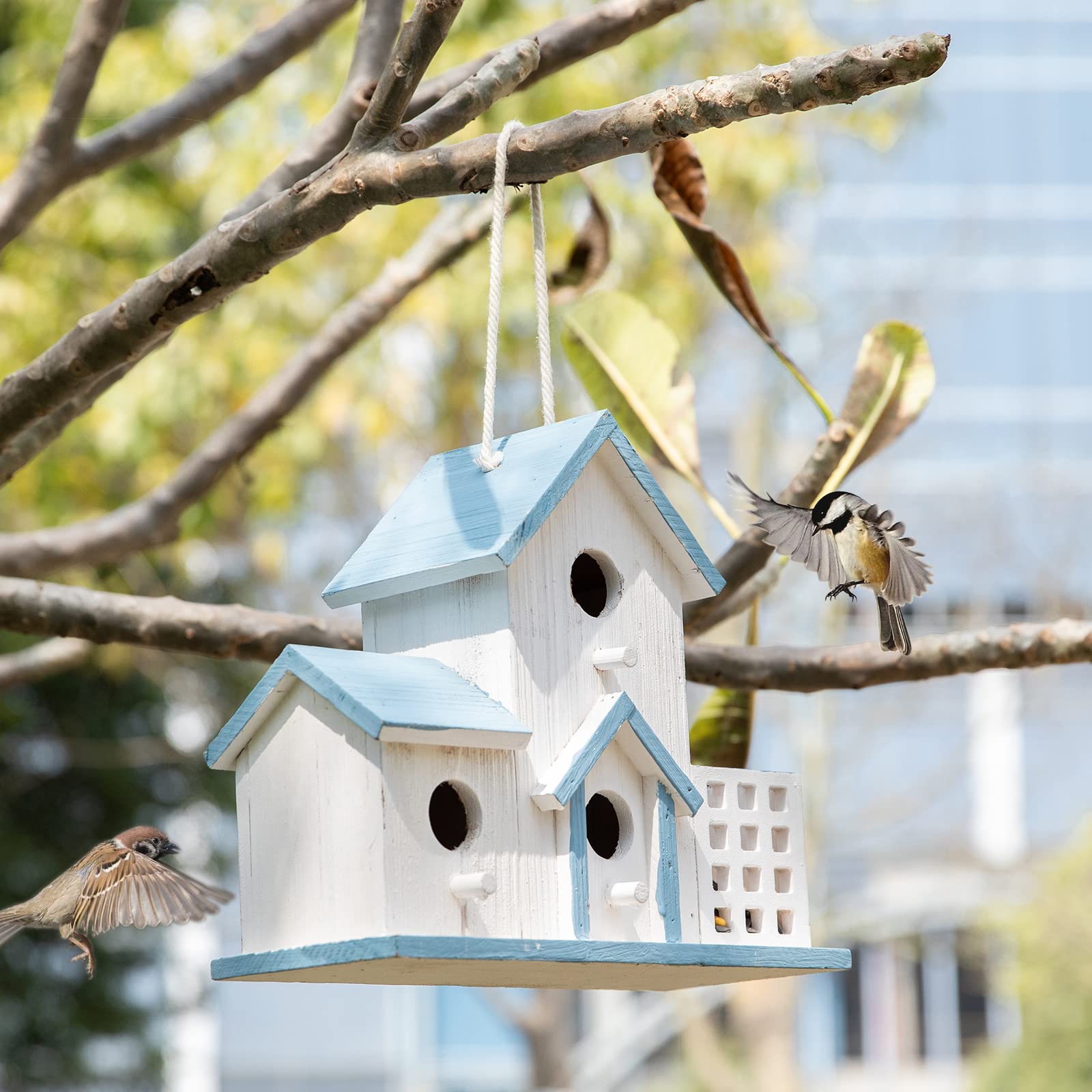 Waterproof paint coating protects HHWODB bluebird house outside.