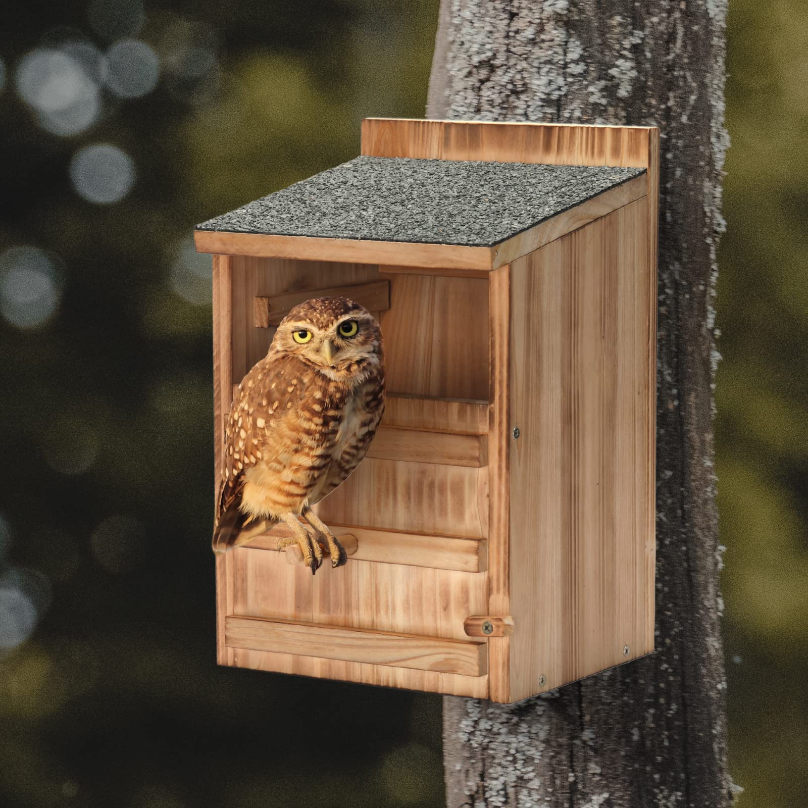 HHWODB cedar shavings are included to attract small owls.