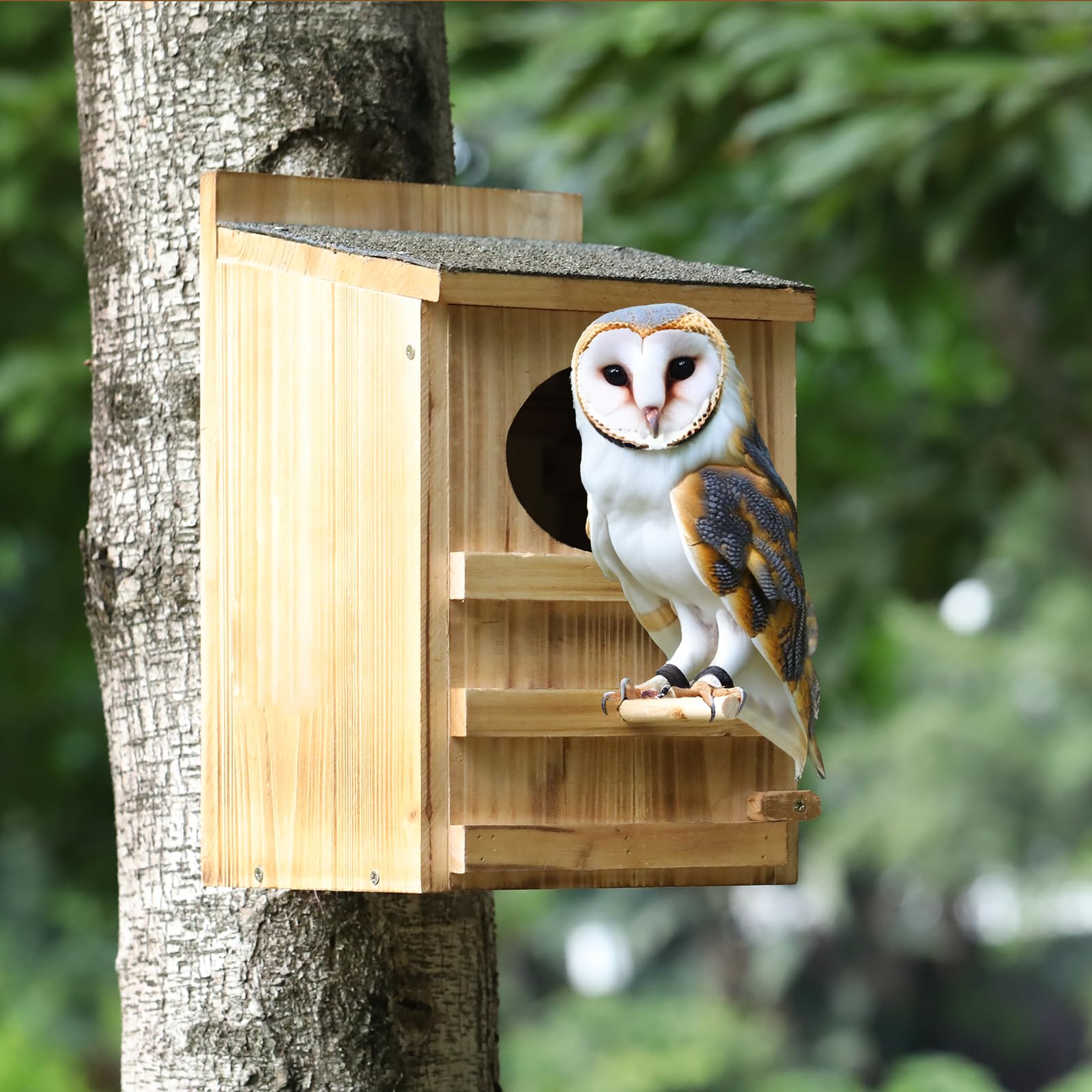 HHWODB Prebuilt nest box ships with mounting screws and perches.