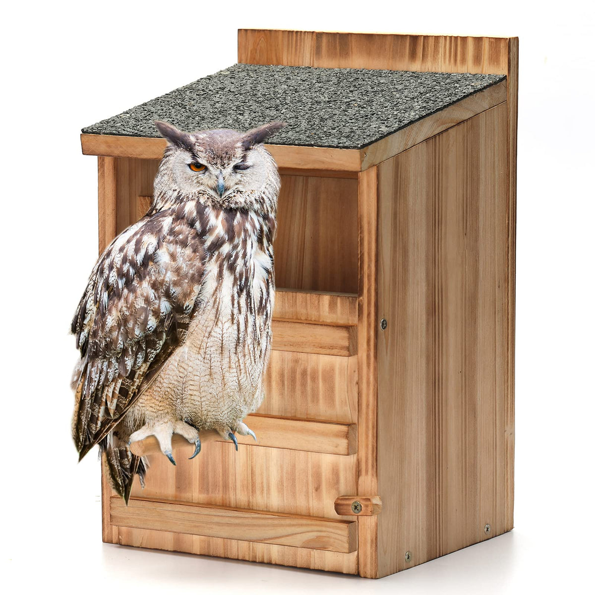 HHWODB Owl House shows a front view in natural cedar for outdoor nesting.