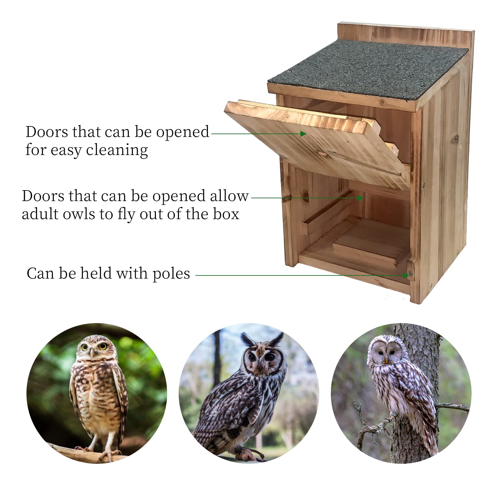 HHWODB perch pole adds an inviting roost for visiting owls.