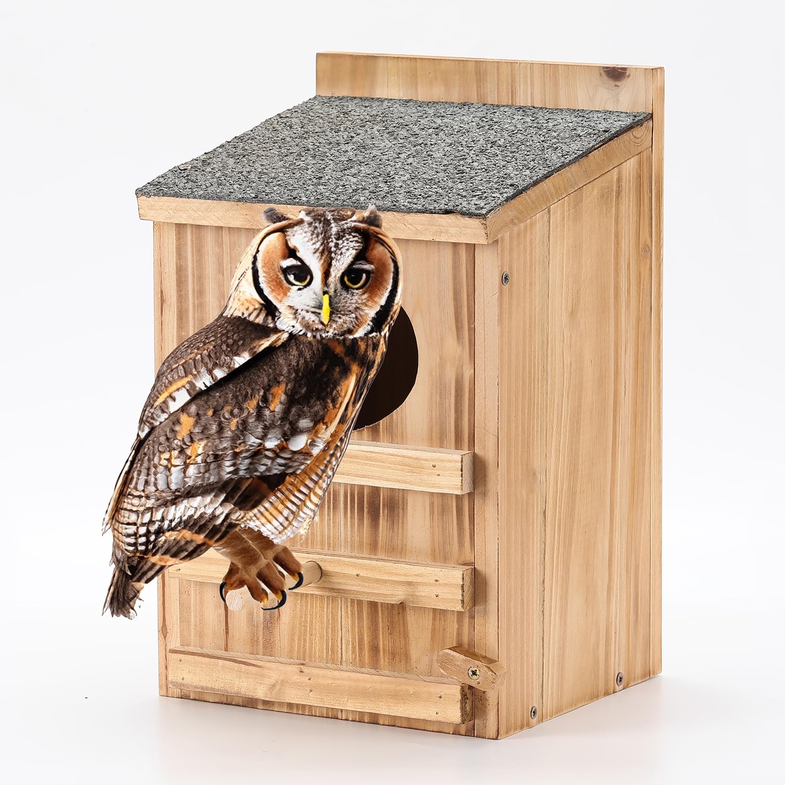 HHWODB Screech Owl House in cedar finish, ideal for outdoor mounting.