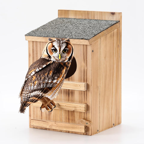 HHWODB Screech Owl House in cedar finish, ideal for outdoor mounting.