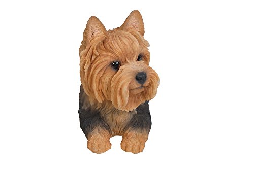 Close-up of lifelike details on the Hi-Line Yorkshire Terrier resin statue