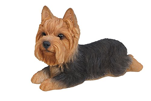 Outdoor garden display of the Hi-Line Yorkshire Terrier resin statue