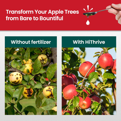 HiThrive fertilizer label highlights macronutrients and micronutrients for fruit trees.