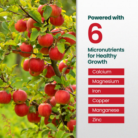 HiThrive apple tree fertilizer strengthens branches for healthier growth.