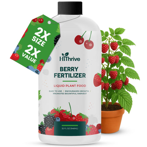 HiThrive Berry Fertilizer 32oz bottle ready for backyard feeding to boost berry growth