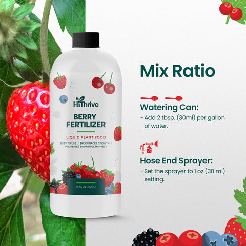 HiThrive Berry Fertilizer garden setup demonstrates scalable berry care.
