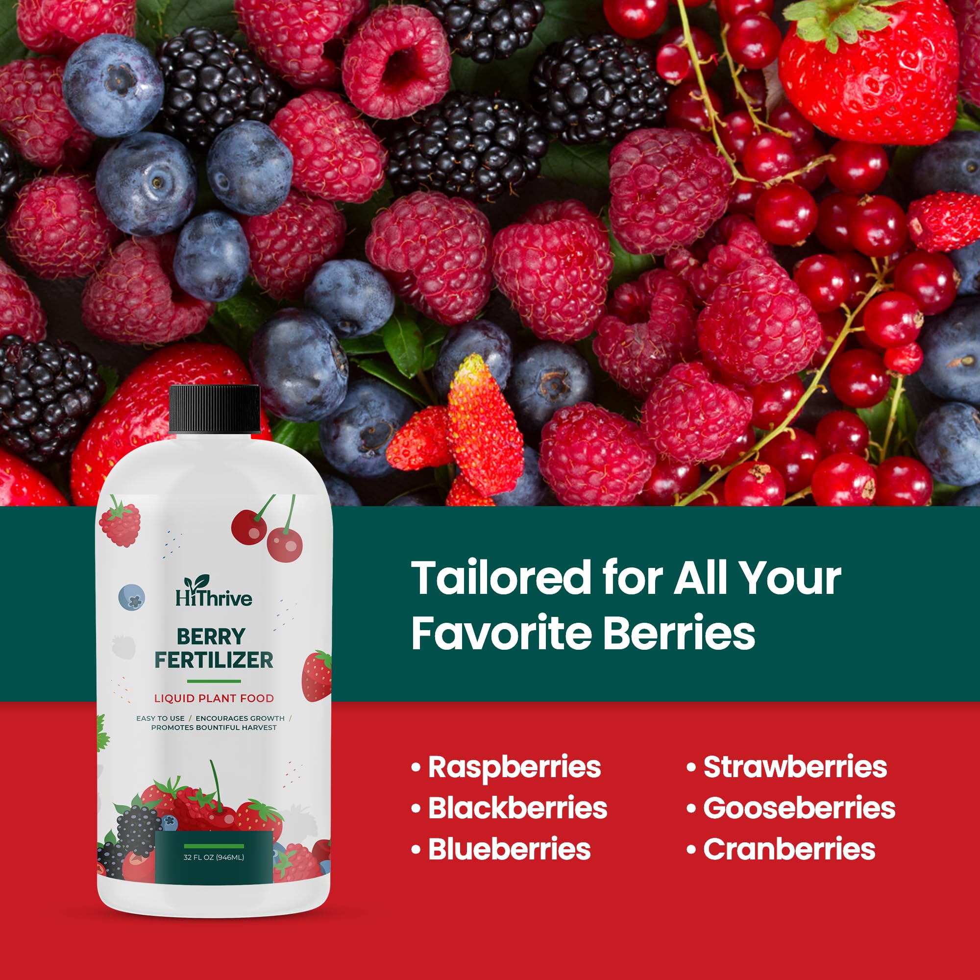 HiThrive Berry Fertilizer on plump strawberries and blueberries ripening