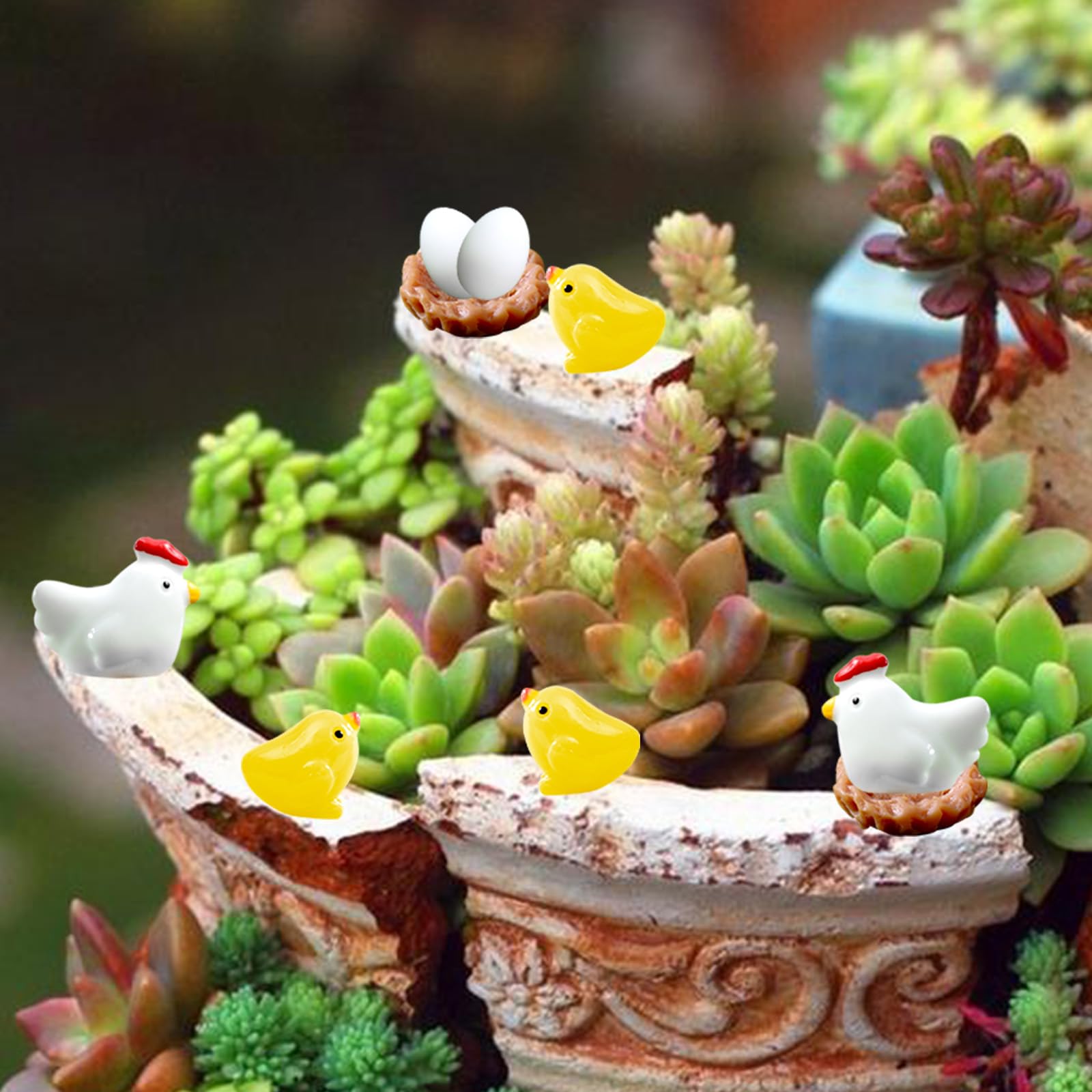 Hiawbon mini coop perfect Christmas gift for home mini house decorations.