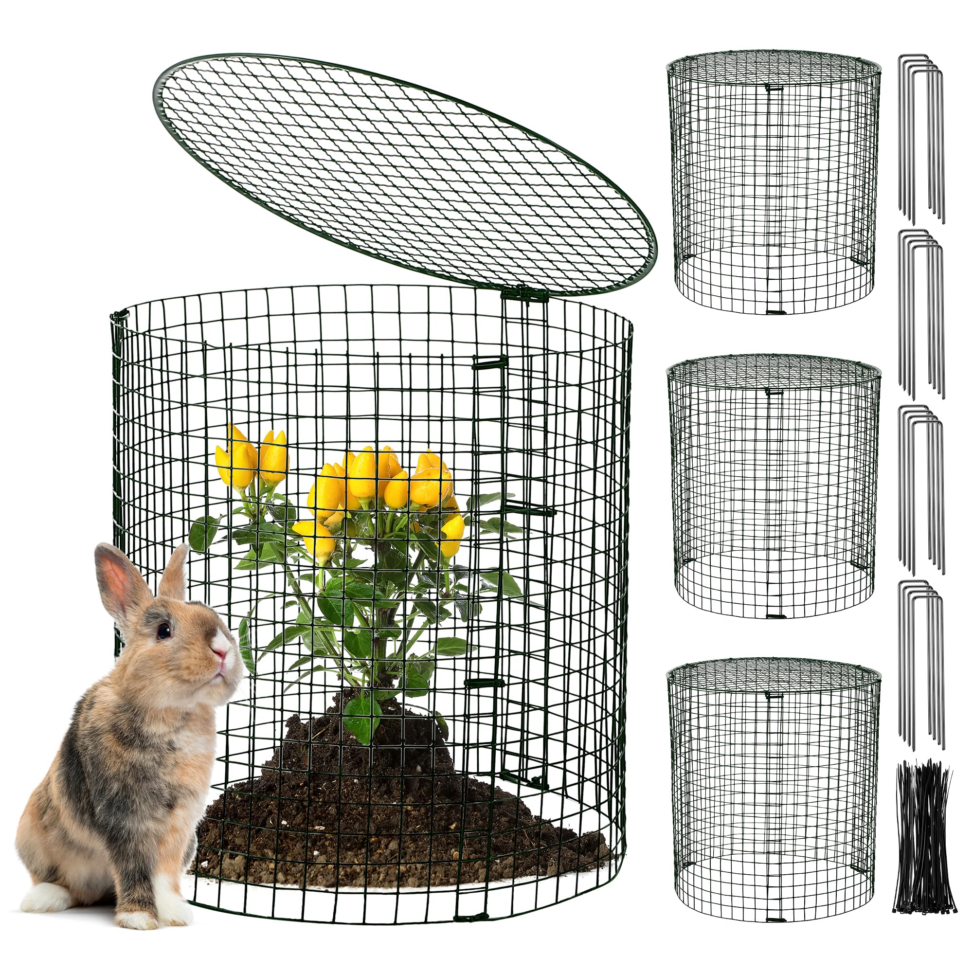 Hiboom garden plant protector cage assembly shields seedlings from pests