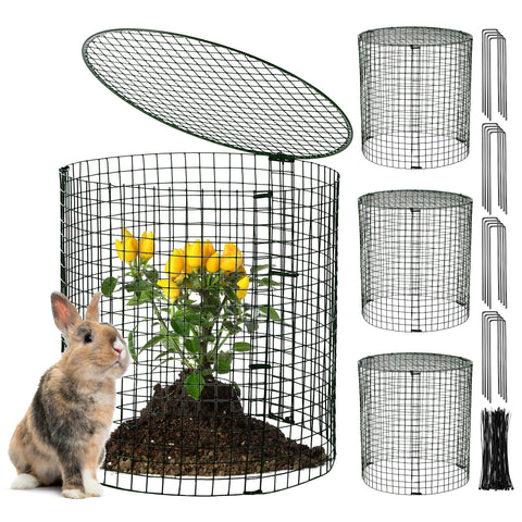 Hiboom garden plant protector cage assembly shields seedlings from pests