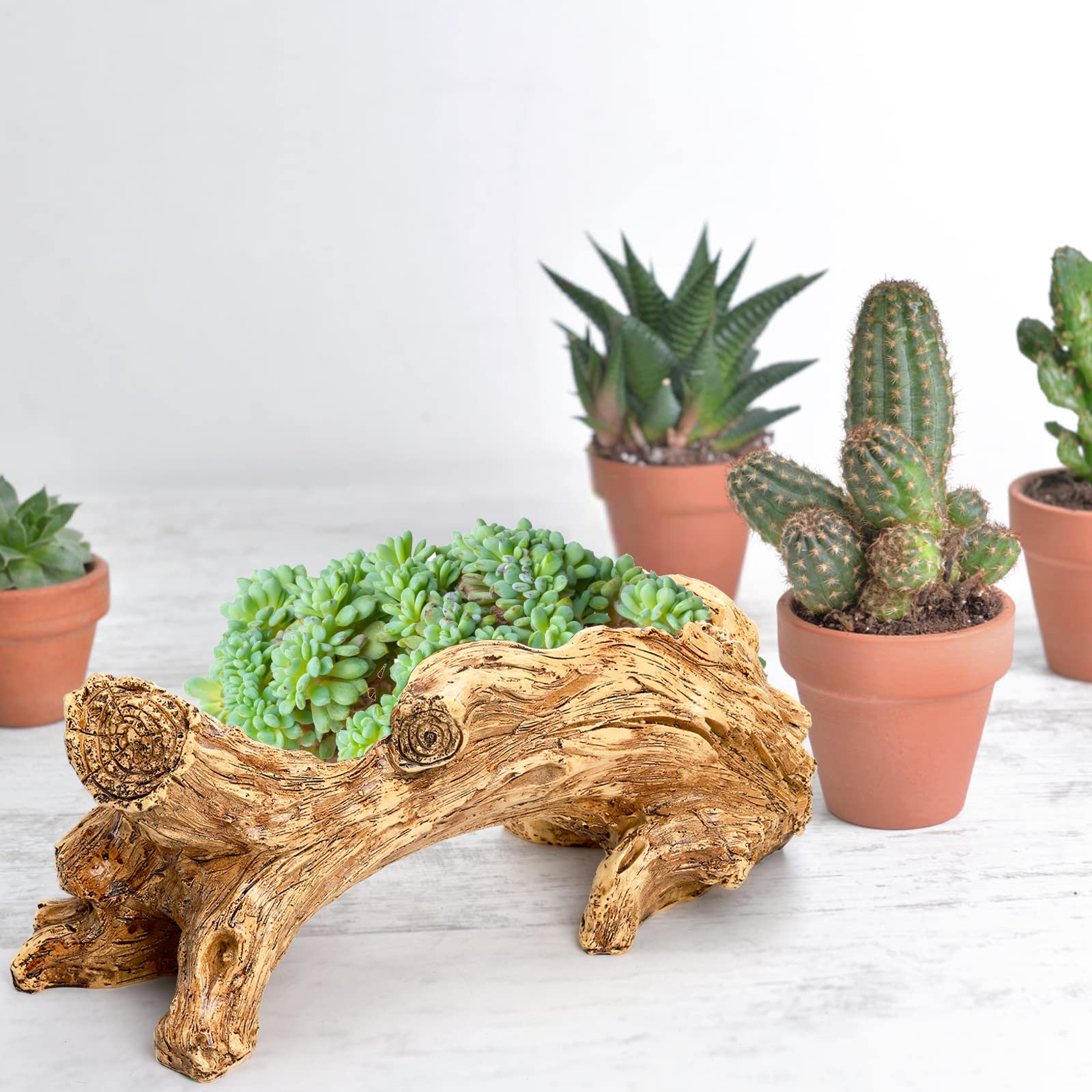 Hiceeden planter outdoor-use friendly for patios, gardens, or balconies