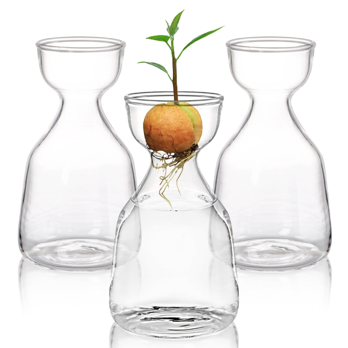Hiceeden avocado seed starter vase 3-pack showcases compact glass planters for easy germination.