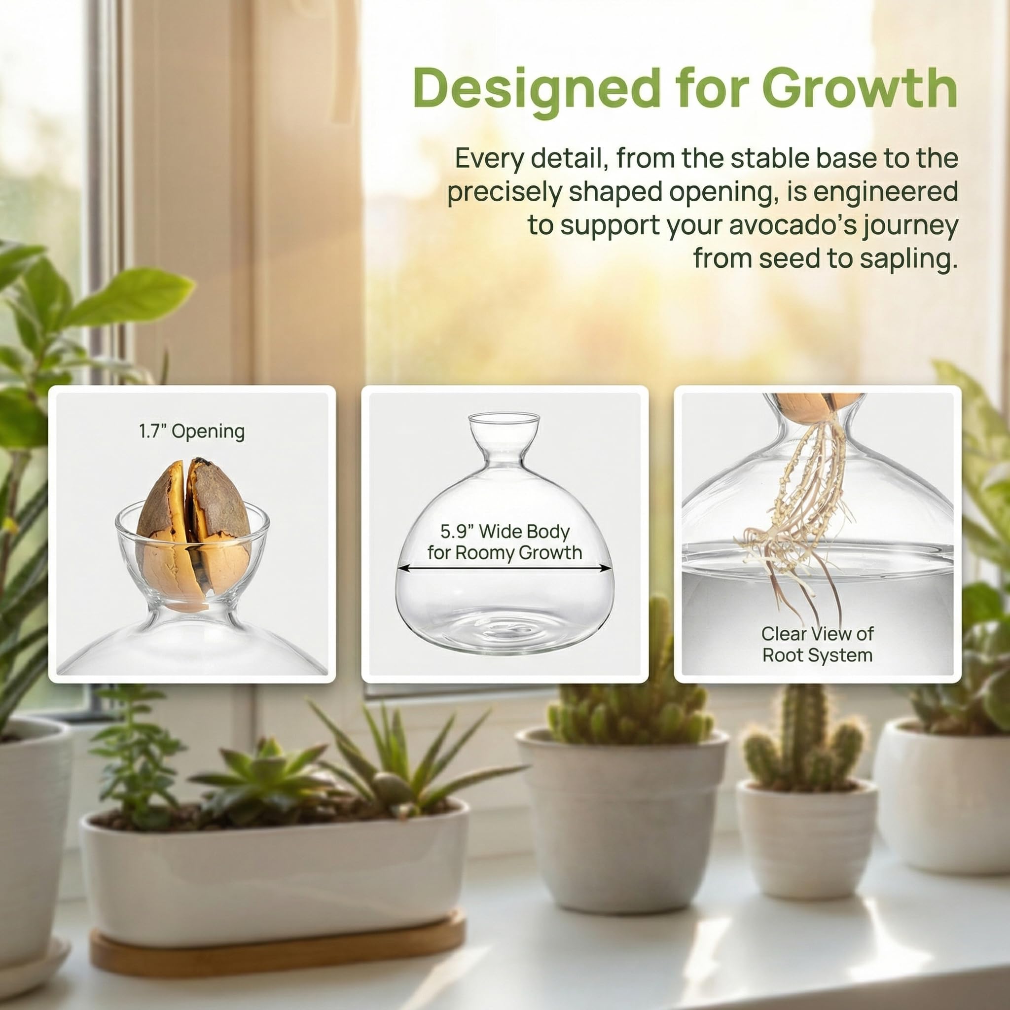 Hiceeden avocado seed starter vase fits indoor windowsills or outdoor patios.