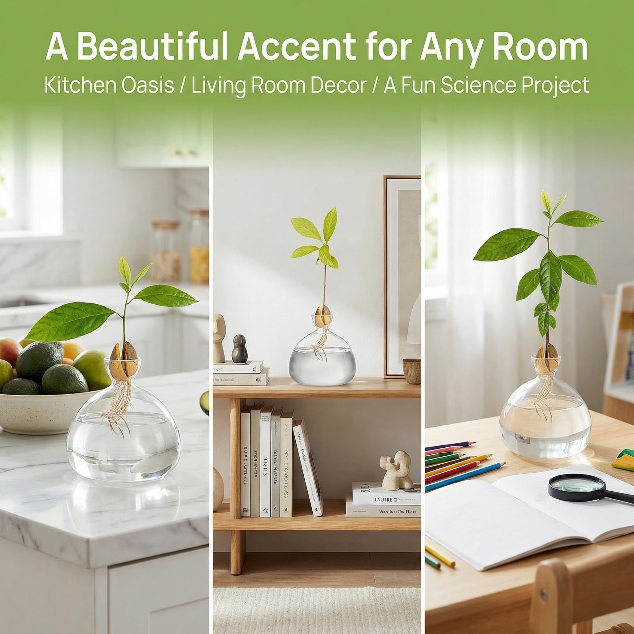 Hiceeden avocado seed starter vase invites kids to plant and observe growth.